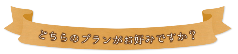 プランがお好みですか？